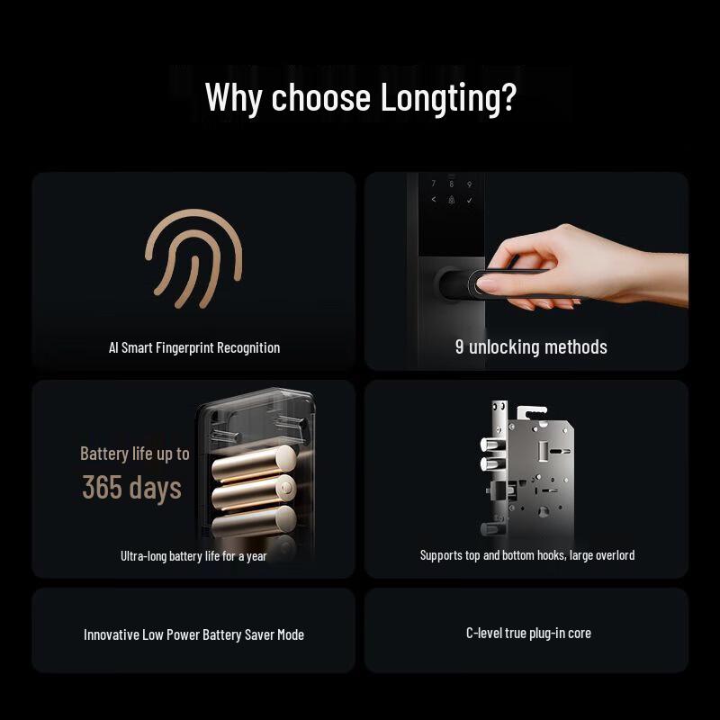 Desmann Longting T5 Smart Fingerprint Door Lock