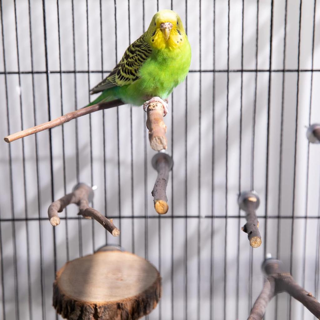Deloky 8 PCS Natural Wood Bird Perch Stand-Wooden Parrot Perch Stand-Perch Platform Cage Accessories for Parrotlets Budgies Cockatiels Parakeets