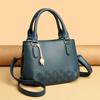 Women's Bags 2024 New Women's Handbag Korean Edition Fashion Large Capacity Casual Tote Bag Womens Shoulder Crossbody Bag Women