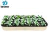 24x11 Inch Galvanized Metal Garden Bed for Vegetables and Flowers - Ideal for Outdoor, Balcony, Mall, and Hotel Use