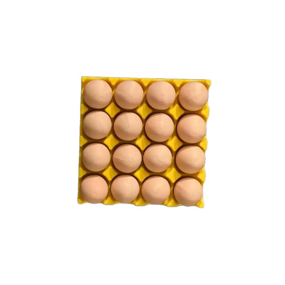 New Magnetic Egg Tray Fridge Magnet Egg Shape Reusable Photo Holder Magnet Creative Design Fridge Magnet Photo Display