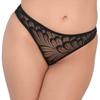 Black Hiphugger Thong - DARING Intimates - Thongs and Panties