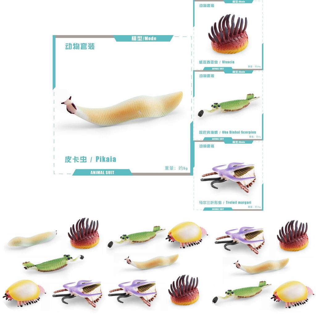 Realistic Ancient Marine Creature Model Collection Featuring Cambrian Anomalocaridids And More