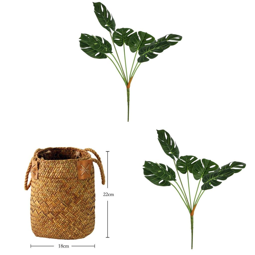 Turtle Back Leaf Faux Plant For Photography And Indoor Garden Decoration