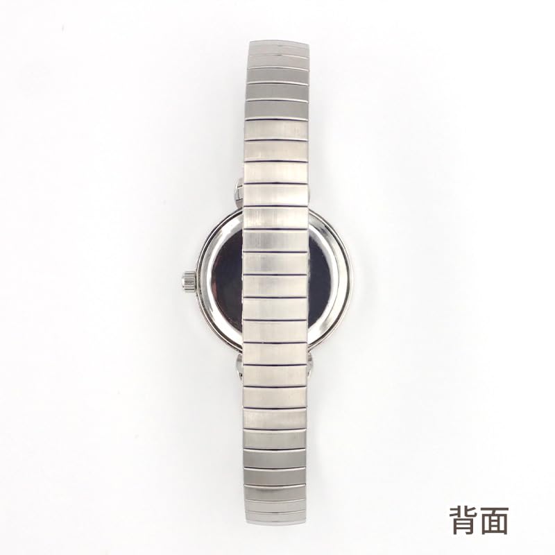 Follow (Follow) Fragola Simple Accordion Watch N04025A-5 SVBK
