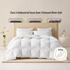 TTC Silent Antibacterial White Goose Down Winter Quilt