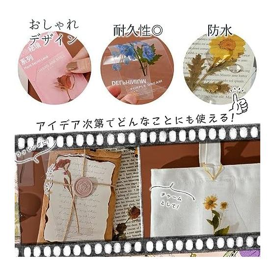 Moin Moin Bookmark Set - 30 Transparent Floral Designs with English Flower Names, Waterproof PET, Approx. 5cm X 14cm - Perfect for Readers and Gifts