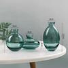 Nordic Transparent Glass Vase Avocado Seed Starters Vase Minimalist Small Plant Pots Gift for Gardening Lovers Home Decor