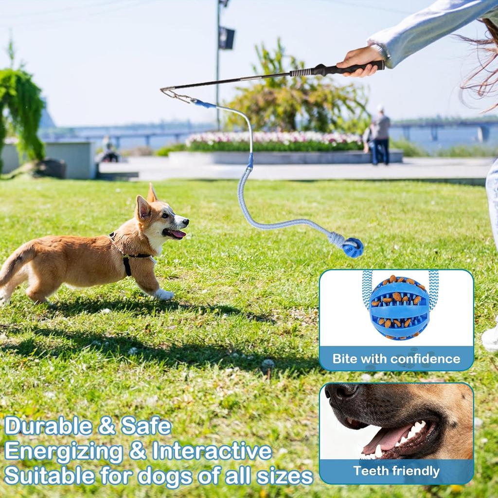 Flirt Pole for Dogs Interactive Dog Pole Toy for Large Medium Small Dogs, Sports Dog Teaser Pole for Tug of War, Flirt Pole with Lure Ball (Standard