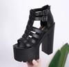 Fashion 14CM Women Sandals High Heels Summer Fashion Ankle Buckle Strap Female Gladiator Sandals Platform Shoes Block Heels