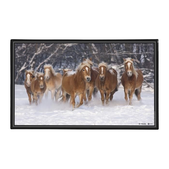 Viquel - Sous main de bureau décoratif thème PONEY - Noir