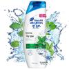 Head & Shoulders Cooling Mint Anti-Dandruff Shampoo