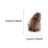 50 Creative Marmot Stickers Set for Journals, DIY, Water Bottles & Phone Cases