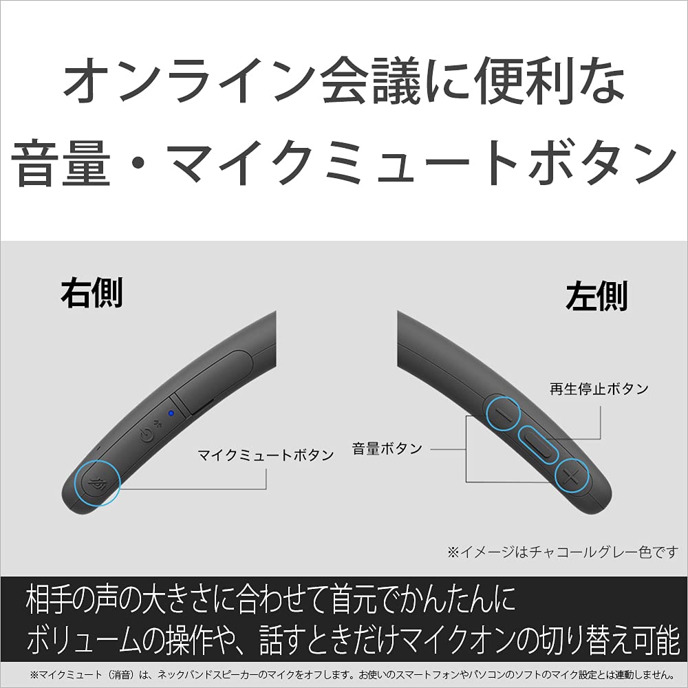 Sony Wireless Neckband Speaker SRS-NB10: Wireless Neckband Speaker with Two High-performance Microphones for Teleworking, IPX4 Water Resistance, Hands