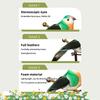 6 Stück Realistische Simulierte Vogeldekoration Mit Natürlichen Federn Und Lebendigen Farben Perfekt Für Garten Hof Haus Party Dekoration Schmuckstück