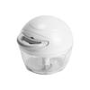 Pearl Metal Garlic Simplice Chopper/Food Chopper, C-1081