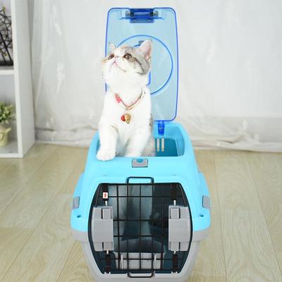 Prodotti per animali – Trasportini per animali domestici