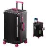 DULA Lightweight PC Hardshell Rolling Luggage