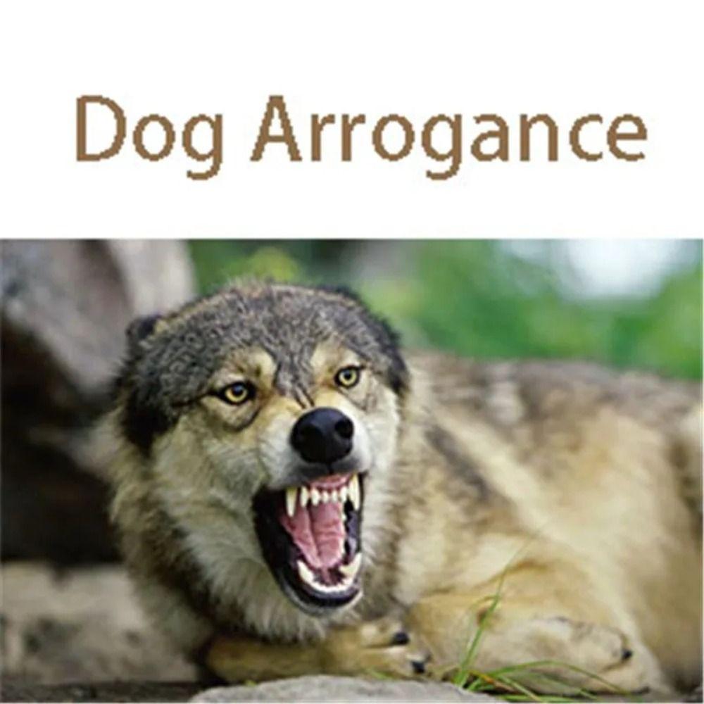 Durable Dog Calming Cap Eye Mask Nylon Dog Eye Shading Cover Dog Blindfold Dog Blindfold