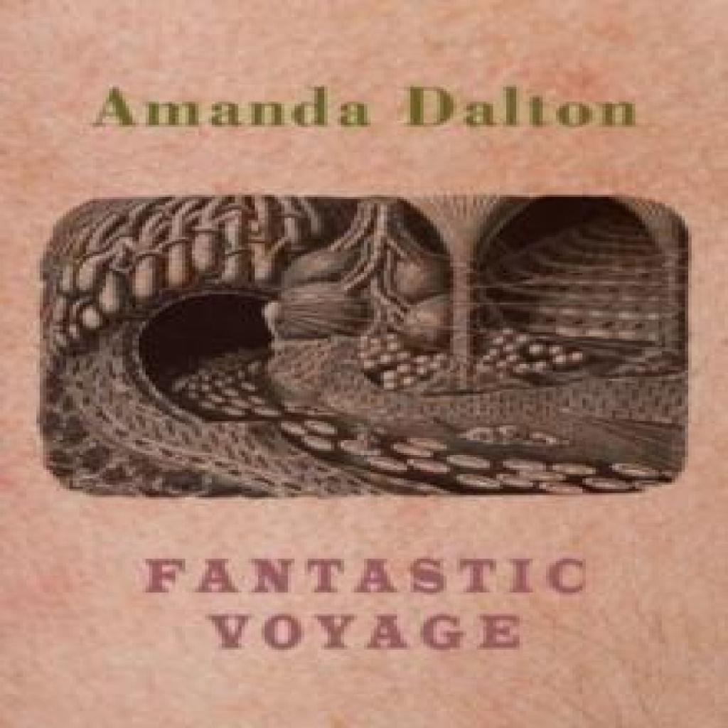 Fantastic Voyage by Amanda Dalton Paperback Book 9781780377117