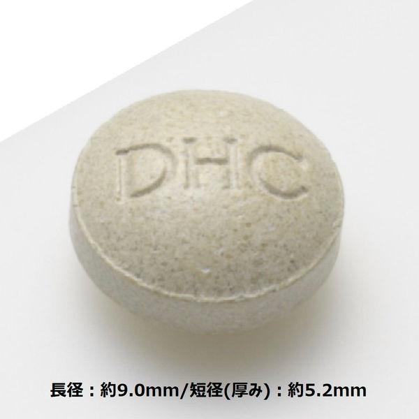 DHC Garcinia Extract 20-Day Supply – Diet Support with Capsaicin and B Vitamins s2257