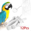 Bird Cage Vegetable and Fruit Clip Feeding Clip, Accessories, 12 Pack