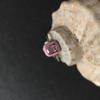 Серебряное кольцо с фианитами, емаллю, вес изделия 1,8 гр (60002238)