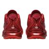Nike LeBron 21 James Gang Sneakers HF5951-600