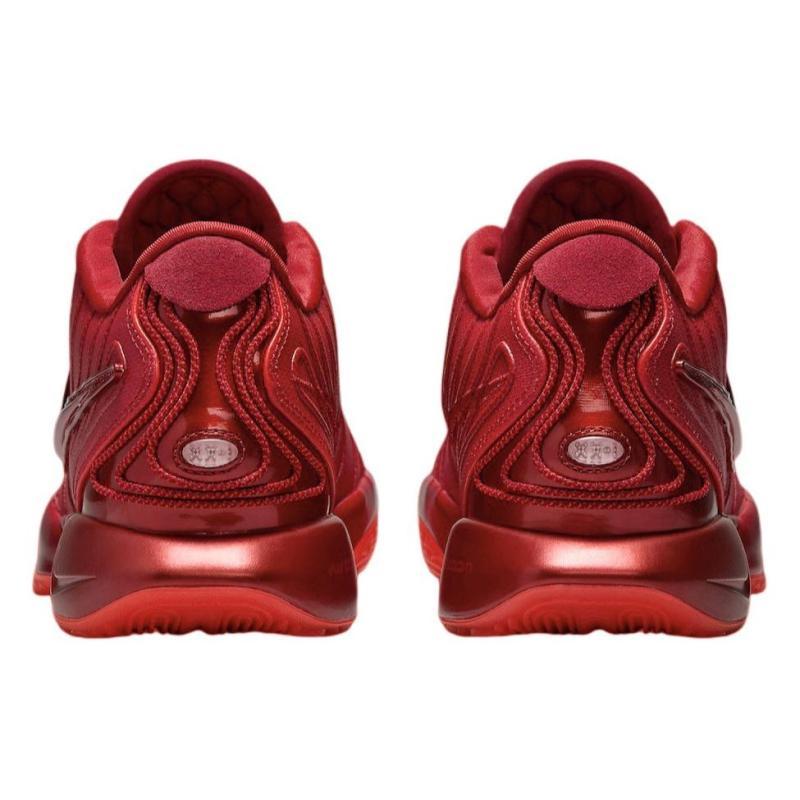 Nike LeBron 21 James Gang Sneakers HF5951-600