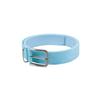Typo Graphics Belt Sky Blue