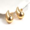 925 Silver Hollow Water Drop Earrings 18k Gold Plated Glossy Simple Jewelry Gift for Women