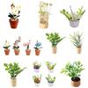 1:12 Dollhouse Mini Orange Tree Snow Conifers Moonflower Leafy Plant Potted Green Potted Plants Bucket Flower Home Garden Decor