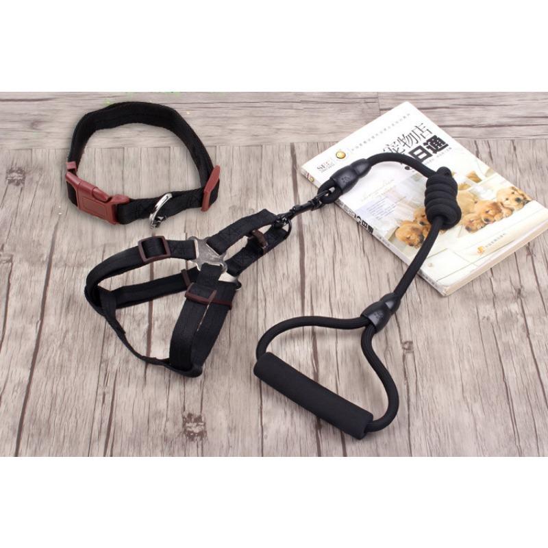 Leash  Chest  Back  Dog Leash Collar Dog Chain  Dog Supplies  Pet Supplies