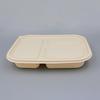 Compostable 3-Compartment Takeout Lunch Boxes