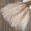 Home Decoration Plante Wedding Decor Artificial Reed Pampas Grass Fake Flowers Artificial Flower