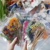 Weekend Flower Shop Large Plant Diary Stickers - 6 Sheets, 8 Designs
