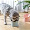 3 Colors Tall Cat Bowl Dog Bowl Anti-dumping 45°Neck Guard Cat Pet Water Bowl Binaural Pet Feeding Cup Pet Feeding Bowl
