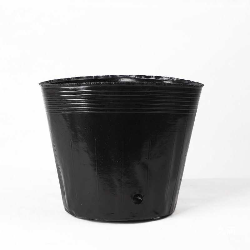 Disposable Plastic Seedling Pots for Gardening and Planting