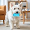 Dog Cooling Chew Toy Summer Freezable Ice Stick Cone Puppy Teething Toy Freezer Pet Teeth Cleaning Toy for Small Medium Breed Dogs