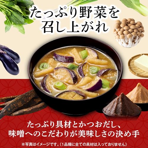 Miso polévka hodně ingrediencí Ajinomoto 9 druhů 18 porcí lyofilizovaná instantní bohatá zelenina
