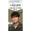 Mandom - Colore per Capelli Lucido Design