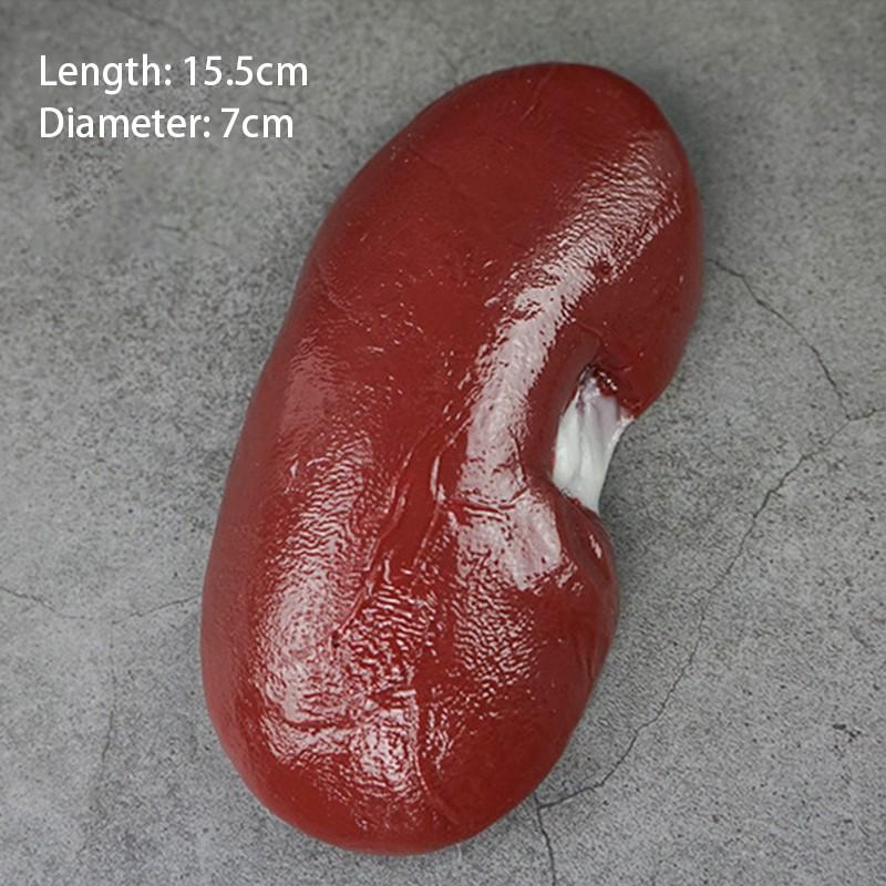 1PC Fake Food Meat Restaurant Store Shop Decor Artificial Food Fake Beef Chops Artificial Meat Meat Model Decor Props