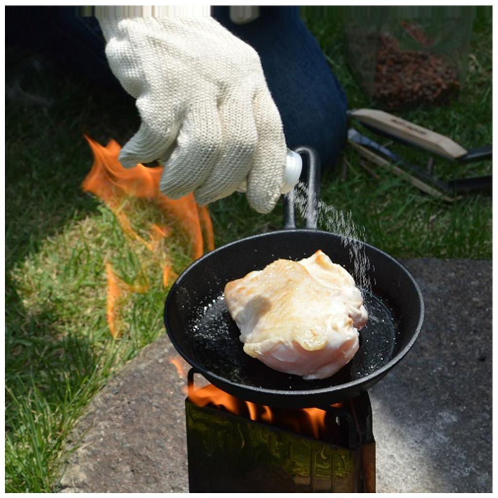 Tanaka Bun Kinzoku Conifer Cone Iron Cast Skillet Frying Pan C.c.