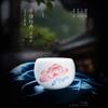 Hand-painted Ice Jade Porcelain Master Ceramic Tasting Kung Fu Set Single Tea Cup Gift