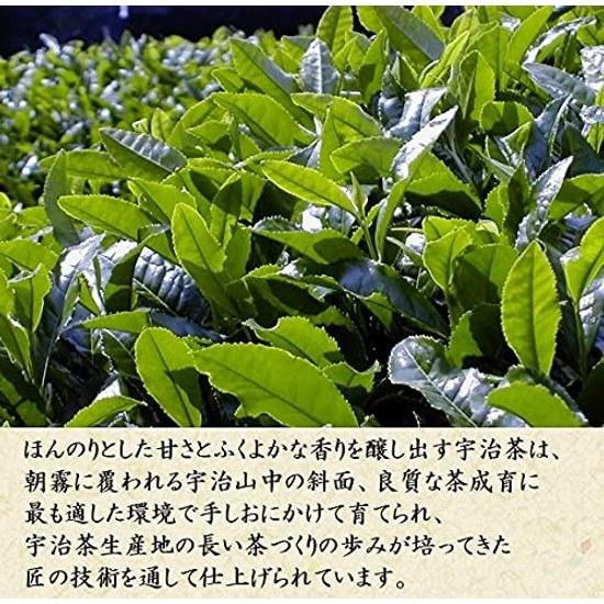 Kiyosui Summer Gift Uji Tea Set Gyokuro Sencha (60g2 bottles) Furoshiki Wrapping Premium Kyoto Leaves Present Homecoming Souvenir Thank You Can