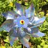 Sparkling Reflective Bird Repeller Pinwheels - Outdoor Wind Spinner Scarecrow for Garden, Lawn, Yard & Farm, Scares Birds Away