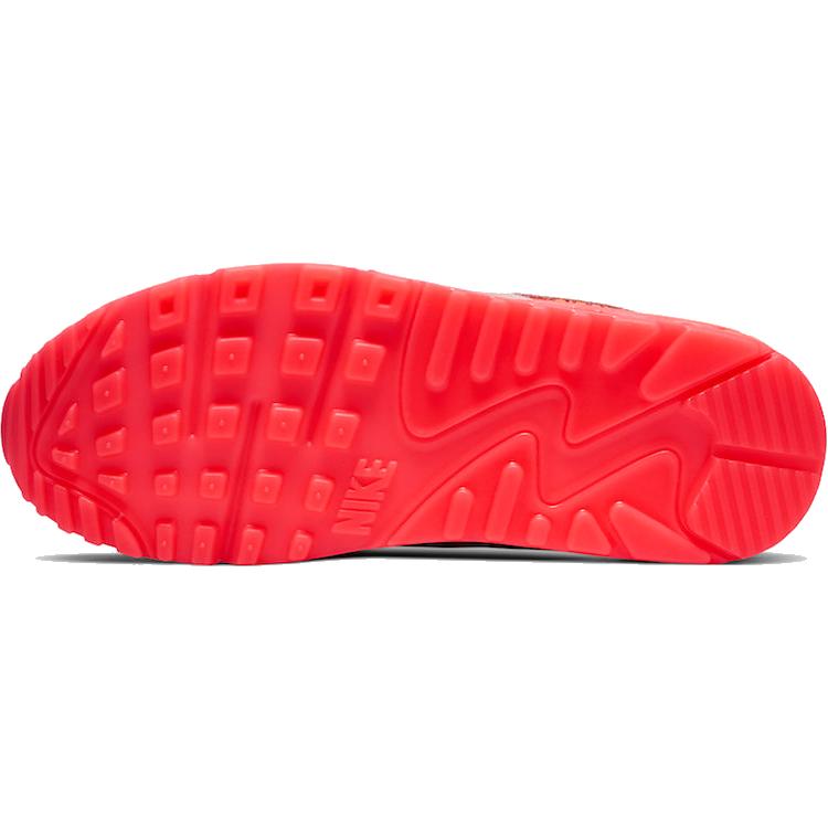 Nike Air Max 90 Prm Platino Cremisi/Viola Brillante Donna CT3449-600
