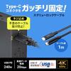 Sanwa Supply USB 20Gbps Type-C Cable (Single Screw Lock, 240W, 1m) KU-20GCCPESSL10