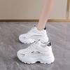 Dad-Schuhe Herbst und Winter kleines Netzgewebe Sportschuhe dicke Sohle Höhenzunahme Xiaobai