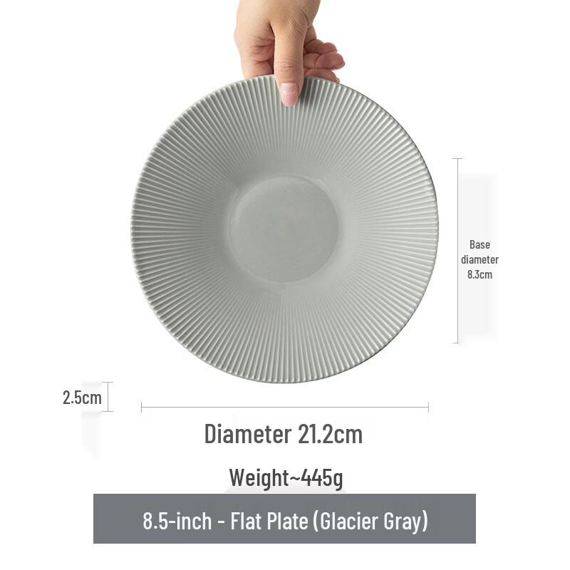 ZISIZ 8.5-inch Glacier Grey Enamel Plate (Set of 2)
